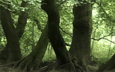 The Power of Conflict Resolution – A Very Personal Story 